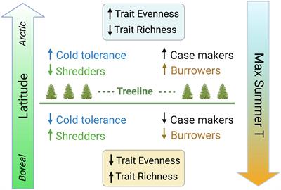 Macroinvertebrate traits in Arctic streams reveal latitudinal patterns in physiology and habits that are strongly linked to climate